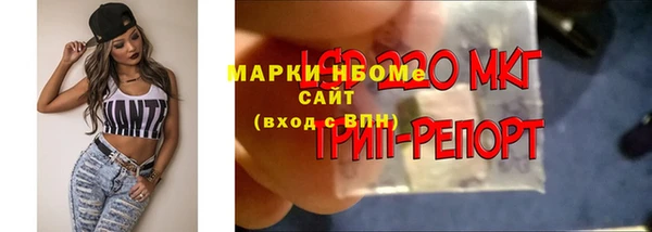 мяу мяу мука Алзамай