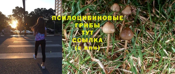 кокаин премиум Алексеевка