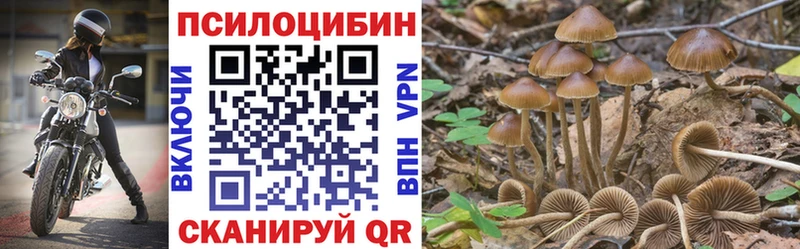 даркнет формула  Анжеро-Судженск  Галлюциногенные грибы прущие грибы  где можно купить  