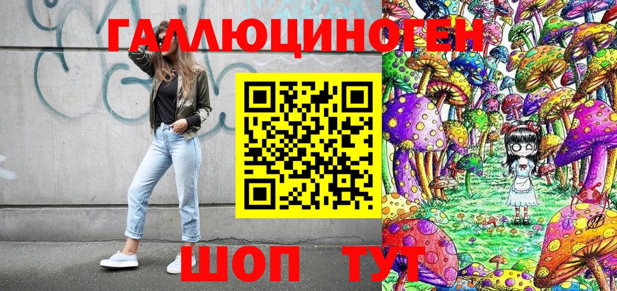Галлюциногенные грибы Psilocybe Анжеро-Судженск
