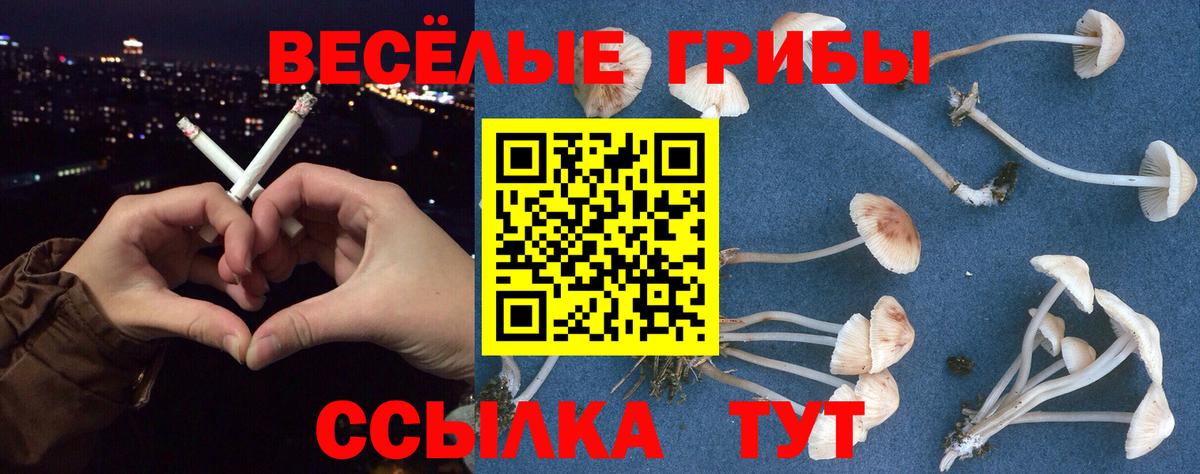 Анжеро-Судженск  Галлюциногенные грибы Magic Shrooms  Вход с VPN  Псилоцибиновые грибы мицелий 
